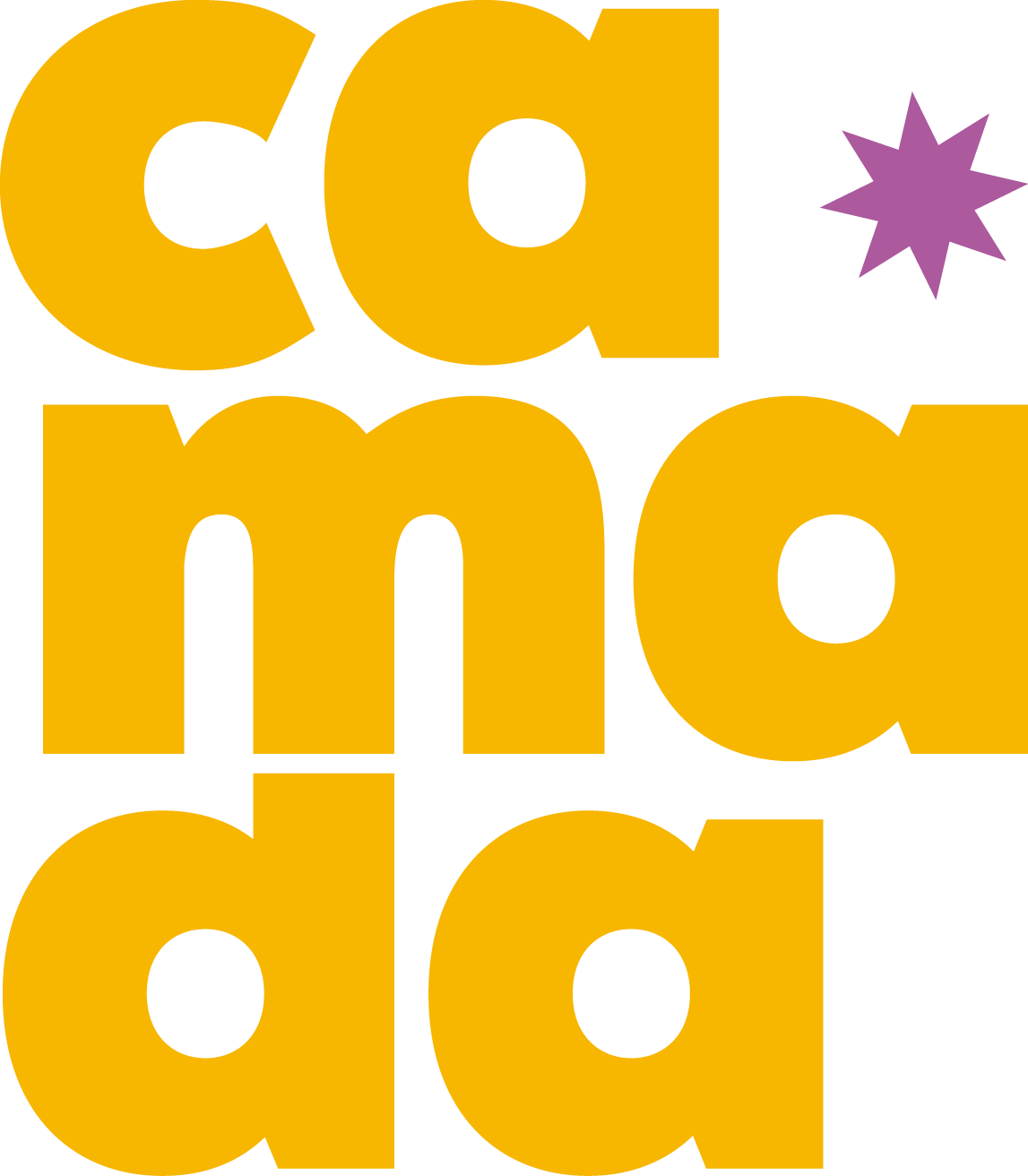 Camada Store